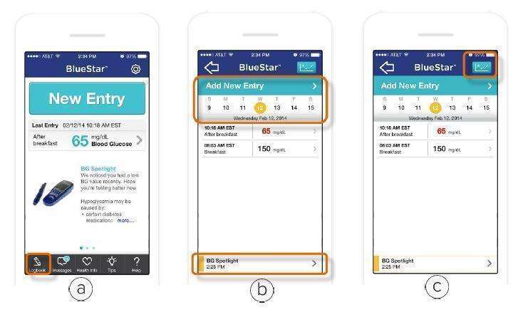 WellDoc BlueStar or WellDoc DiabetesManager System and DiabetesManager Rx System