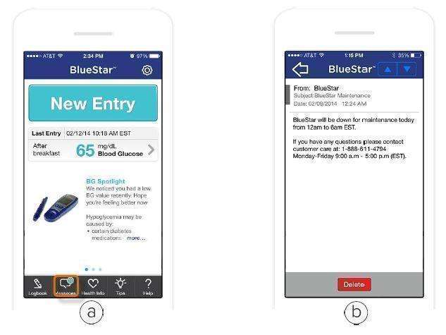 WellDoc BlueStar or WellDoc DiabetesManager System and DiabetesManager Rx System