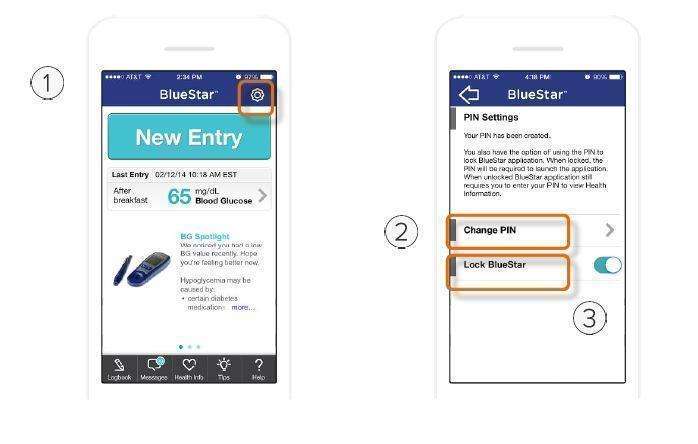 WellDoc BlueStar or WellDoc DiabetesManager System and DiabetesManager Rx System