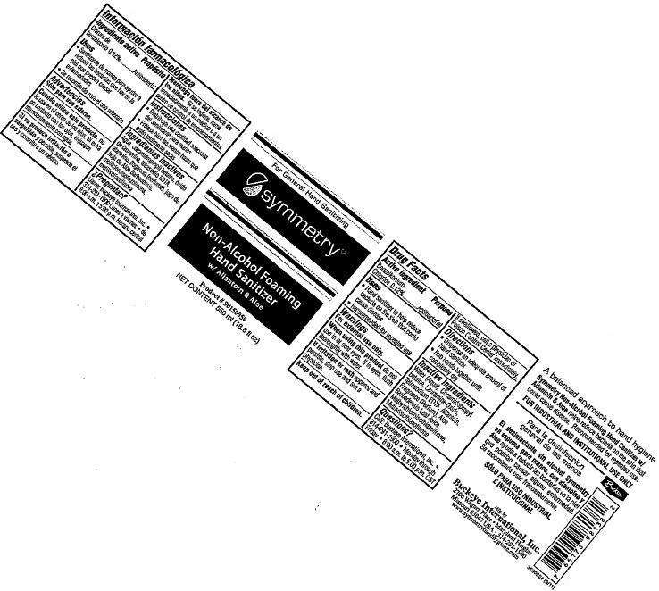 symmetry Non-Alcohol Foaming Hand Sanitizer with Allantoin and Aloe