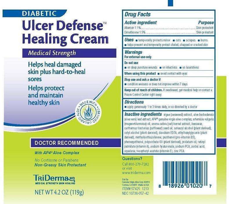 DIABETIC ULCER DEFENSE