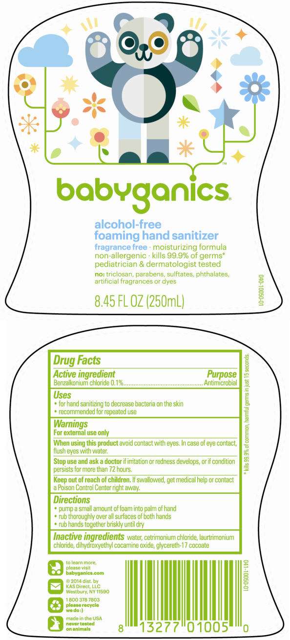 BabyGanics Alcohol Free Foaming Hand Sanitizer