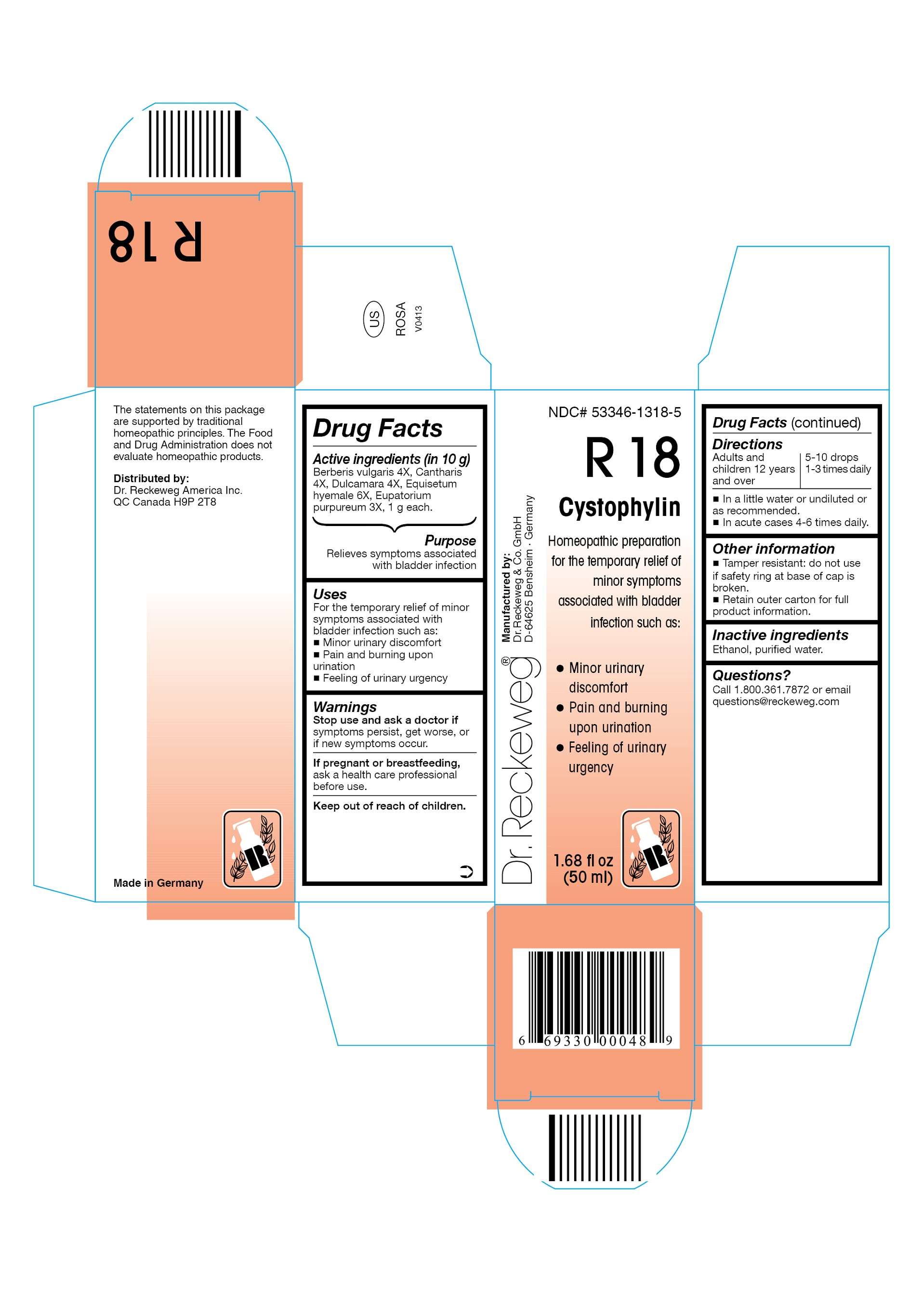 DR. RECKEWEG R18 Cystophylin