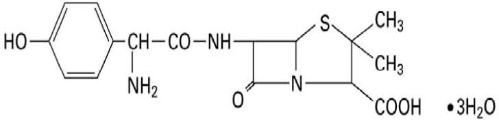 Amoxicillin and Clavulanate Potassium