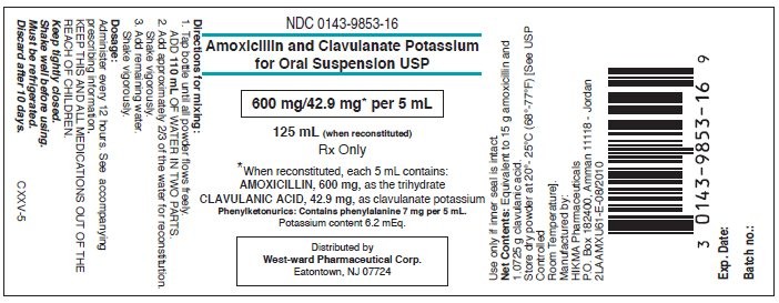 Amoxicillin and Clavulanate Potassium