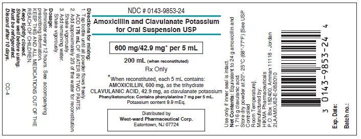 Amoxicillin and Clavulanate Potassium