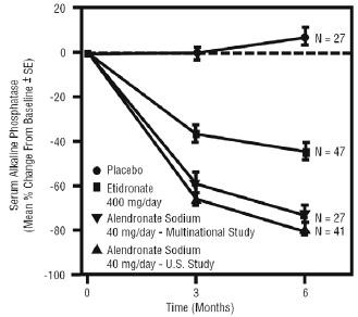 Alendronate Sodium