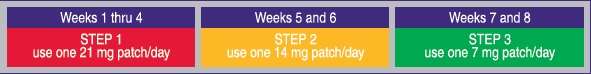 Nicotine Transdermal System