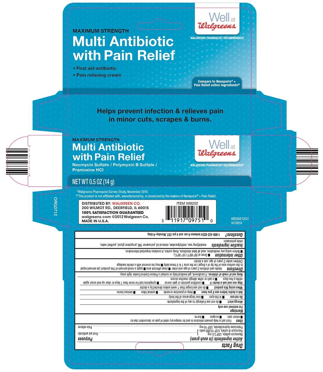 Multi Antibiotic with Pain Relief