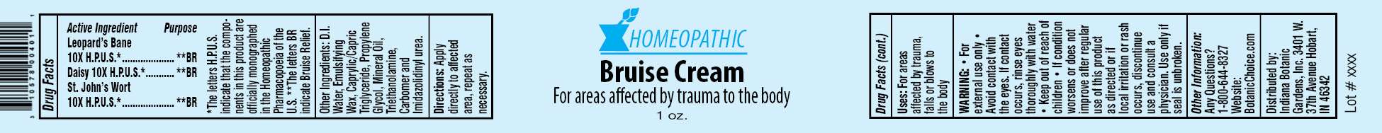 Homeopathic Bruise