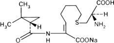 Imipenem and Cilastatin