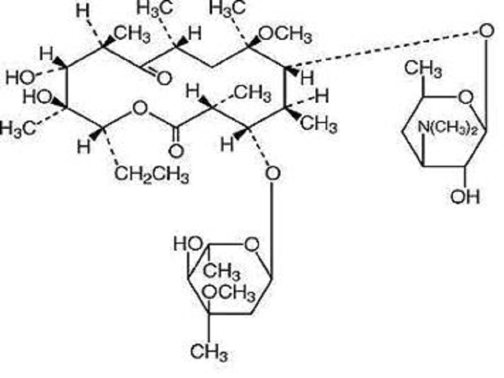 Clarithromycin