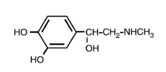 Epinephrine