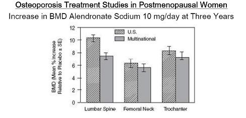 Alendronate Sodium