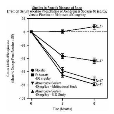 Alendronate Sodium