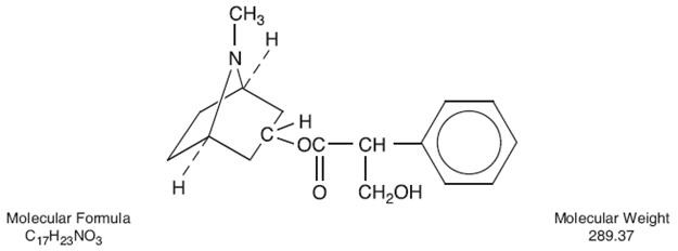 Atropine Sulfate