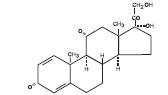 Perrigo Prednisone