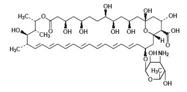 AMPHOTEC