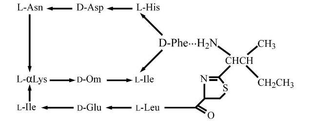 POLYCIN