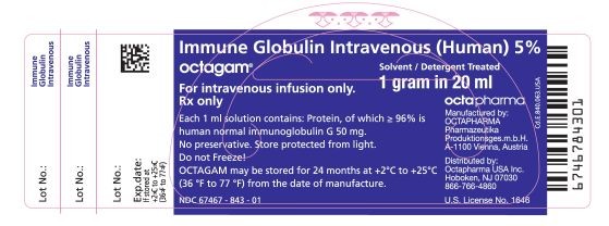 Octagam Immune Globulin (Human)