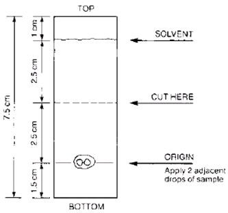 Kit for the Preparation of Technetium Tc99m Sestamibi Injection