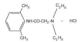 LIDOCAINE HCl