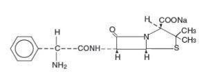 AMPICILLIN