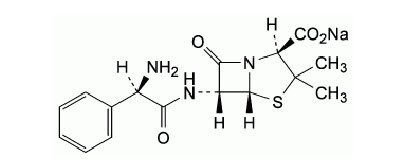 Ampicillin and Sulbactam