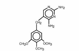 Sulfamethoxazole and Trimethoprim