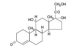 Neomycin and Polymyxin B Sulfates and Hydrocortisone