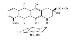 Epirubicin Hydrochloride