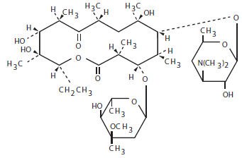 Erythromycin Base