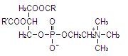 Intralipid