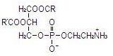 Intralipid