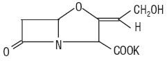 Amoxicillin and Clavulanate Potassium