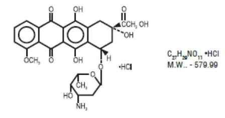 Doxorubicin Hydrochloride