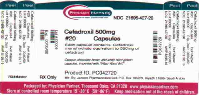 Cefadroxil