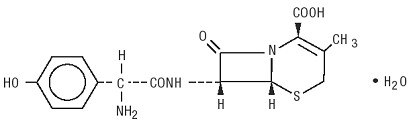 Cefadroxil