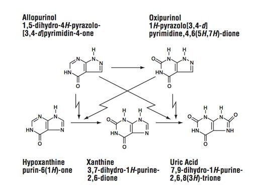 Allopurinol