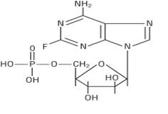 Fludarabine Phosphate