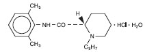 NAROPIN