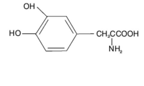 Carbidopa and Levodopa