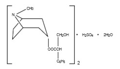 Hyoscyamine Sulfate Extended-Release