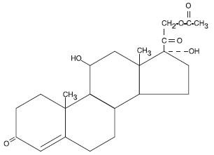 Proctofoam