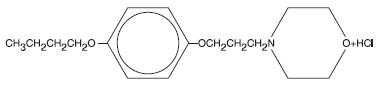 Proctofoam