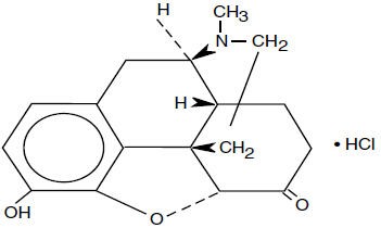 Hydromorphone Hydrochloride