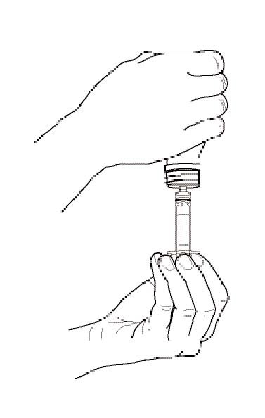 Galantamine Hydrobromide Oral Solution