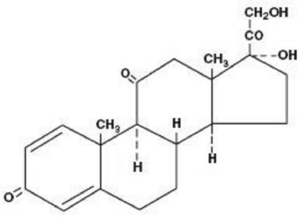 PREDNISONE