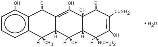 Morgidox