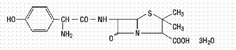 Amoxicillin and Calvulanate Potassium